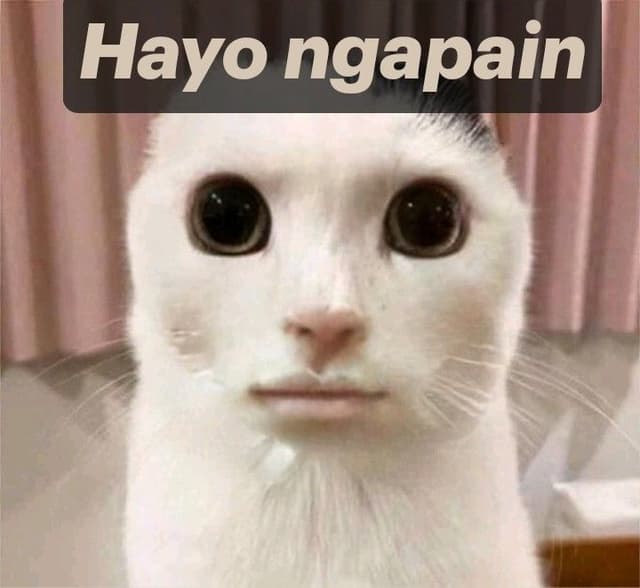 meme